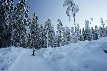 Cross country skiing in Norway is very popular. This is the tracks and slopes in Oslo, just a  short distance from downtown. The place is called Nordmarka or Oslomarka. 