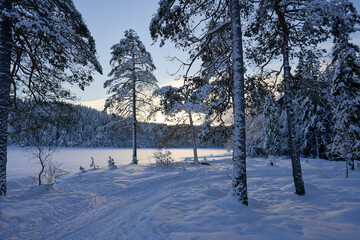 Cross country skiing in Norway is very popular. This is the tracks and slopes in Oslo, just a  short distance from downtown. The place is called Nordmarka or Oslomarka. 