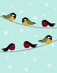 Delicate illustration of winter birds sitting on snowy branches.
Background from snow, snowfall, snowflakes.