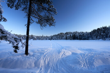 Cross country skiing in Norway is very popular. This is the tracks and slopes in Oslo, just a  short distance from downtown. The place is called Nordmarka or Oslomarka. 