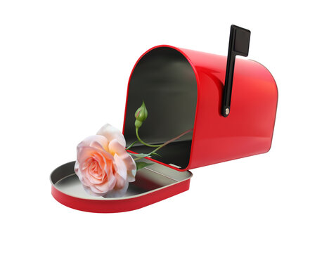 An open mailbox with a pink rose inside. Illustration