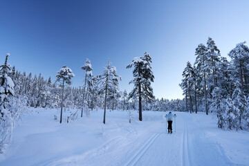 Cross country skiing in Norway is very popular. This is the tracks and slopes in Oslo, just a  short distance from downtown. The place is called Nordmarka or Oslomarka. 