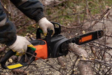 Chainsaw in motion saws a tree.