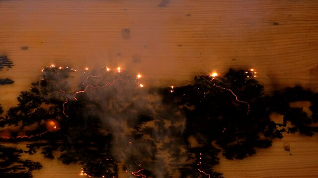 Lichtenberg figures. Wood engravings. Burning wood with electricity. Flash of fire