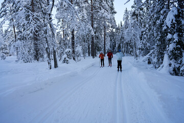 Cross country skiing in Norway is very popular. This is the tracks and slopes in Oslo, just a  short distance from downtown. The place is called Nordmarka or Oslomarka. 