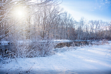 Landscape view of morning winter scene in the forest with a pond and fresh fallen snow 