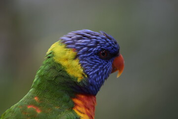 second clicher ne notre amie a plume