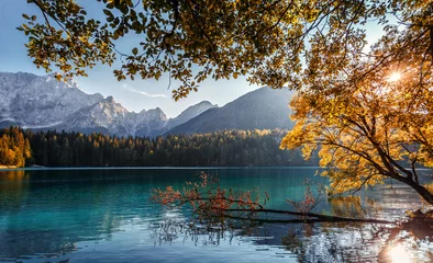 Aluminium schilderij Per kleur Indrukwekkend mooi Sprookjesachtig bergmeer in de Alpen. Prachtig uitzicht op het prachtige berglandschap met het kalme meer Fusine.  © jenyateua
