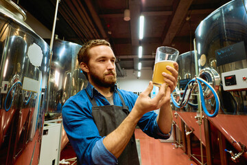 Young serious brewer with glass of beer evaluating its visual characteristics