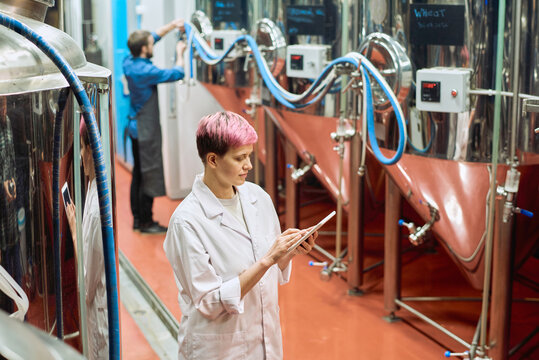 Young female brewery expert looking through data in tablet against male worker