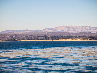 Fototapeta premium Shore