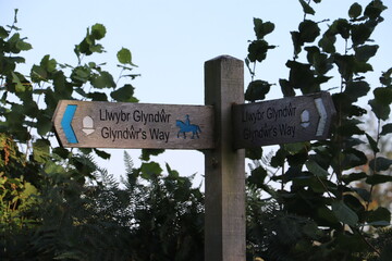 wooden signpost 
