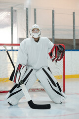 Contemporary hockey player standing on rink against net and waiting for puck