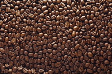 Coffee bean texture with bright glare. Top view.