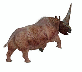 Obraz premium Elasmotherium Tail - Elasmotherium was a herbivorous rhinoceros mammal that had a large horn on it's forehead and lived during the Pliocene and Pleistocene periods.