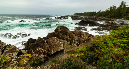 Fototapeta na wymiar rocky coast of state
