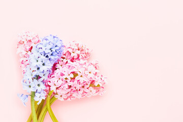 Bouquet of pink and lilac hyacinths flowers on a pink background. Top view, copy space