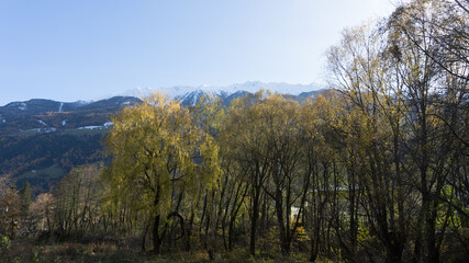 Picturesque mountain landscape in Naturns in South Tyrol in autumn, in the fore a row of trees, in the background the snow-covered mountains, blue sky without clouds, no people