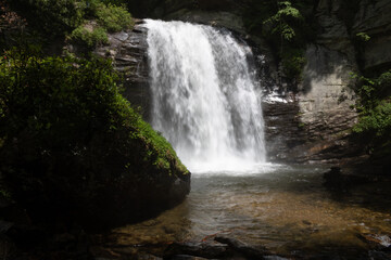 Obraz premium waterfall in the forest