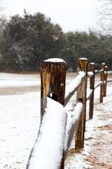 Fence covered in snow in Texas