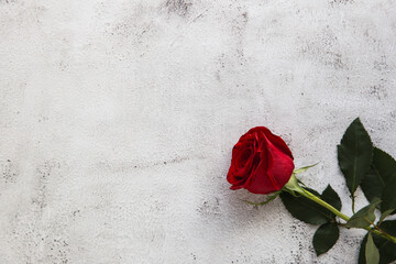 Red roses on grey stone background.