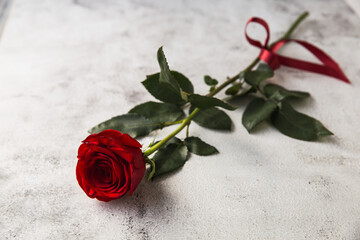 Red roses on grey stone background.