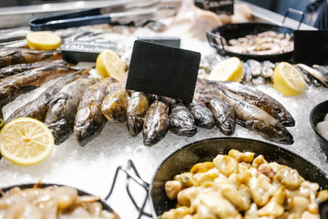 Fresh fish on counter at fish store
