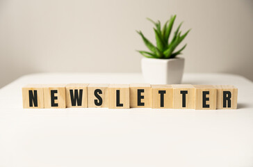 'Newsletter' written on wood blocks. Business concept. Copy space. Beautiful white background.
