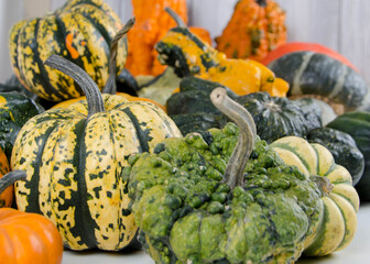 Isolated pumpkin squash 