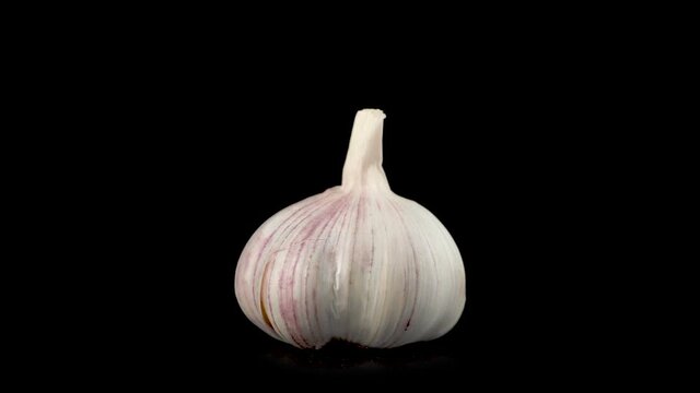 Fresh organic unpeeled garlic bulbs Spinning Slowly. Garlic Rolling Macro