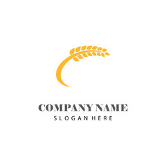 Wheat Logo Template vector symbol nature