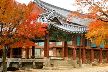 Obraz premium In Jogyesan Provincial Park, South Korea, Seonamsa's weathered-wood temple exteriors exude a feeling of age and grace amid brilliant fall foliage.
