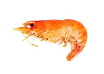 roasted river shrimp common isolated on white background ,grilled prawn