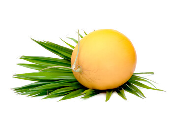 Orange cantaloupe melon smooth skin with leaf isolated on white background