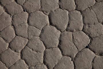 Dry ground