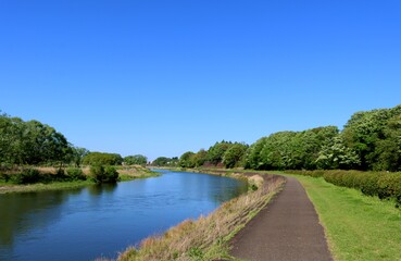Fototapeta premium 田舎 川 道 風景 春