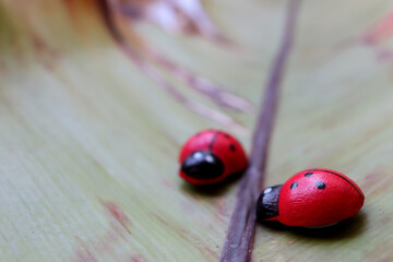 The figure of a ladybug made of wood on a leaves.