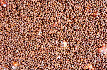 The close up of Brown sesame seed honey bar.
