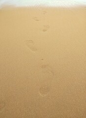Fototapeta na wymiar High Angle View Of Footprints On Wet Sand