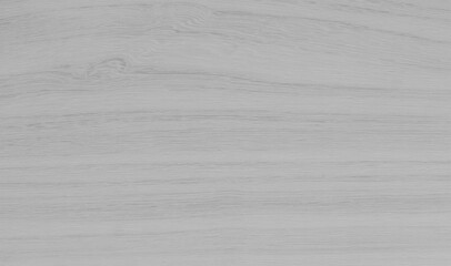 White wood plank texture for background.