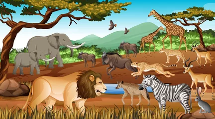  Group of Wild African Animal in the forest scene © blueringmedia