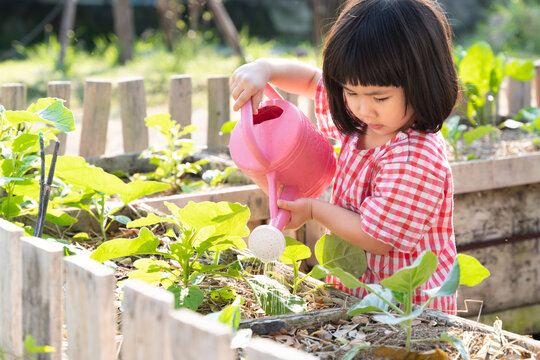 Adorable Asian homeschool little girl watering plants in the garden with care. Montessori Practical Life skills, Child development, Nature education, Earth day.