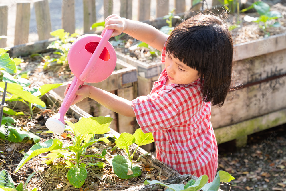 Wall mural adorable asian homeschool little girl watering plants in the garden with care. montessori practical 