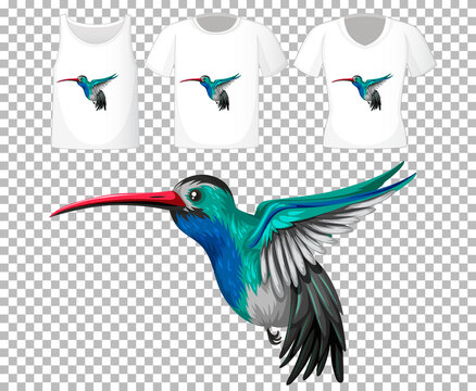 Hummingbirds Cartoon Character With Many Types Of Shirts On Transparent Background