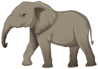Adult elephant without ivory in cartoon style on white background
