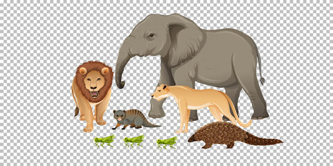Group of wild african animal on transparent background