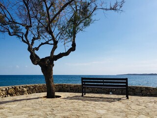 Fototapeta na wymiar Tree On Bench By Sea Against Sky