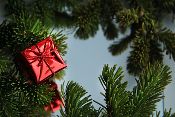 gift on the background of fir branches