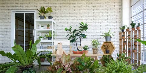 Leisure corner in office building Decorated with potted plants and various types of cactus.