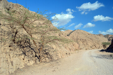 Desert of Sinai Peninsula, Egypt. Near Sharm El Sheikh
